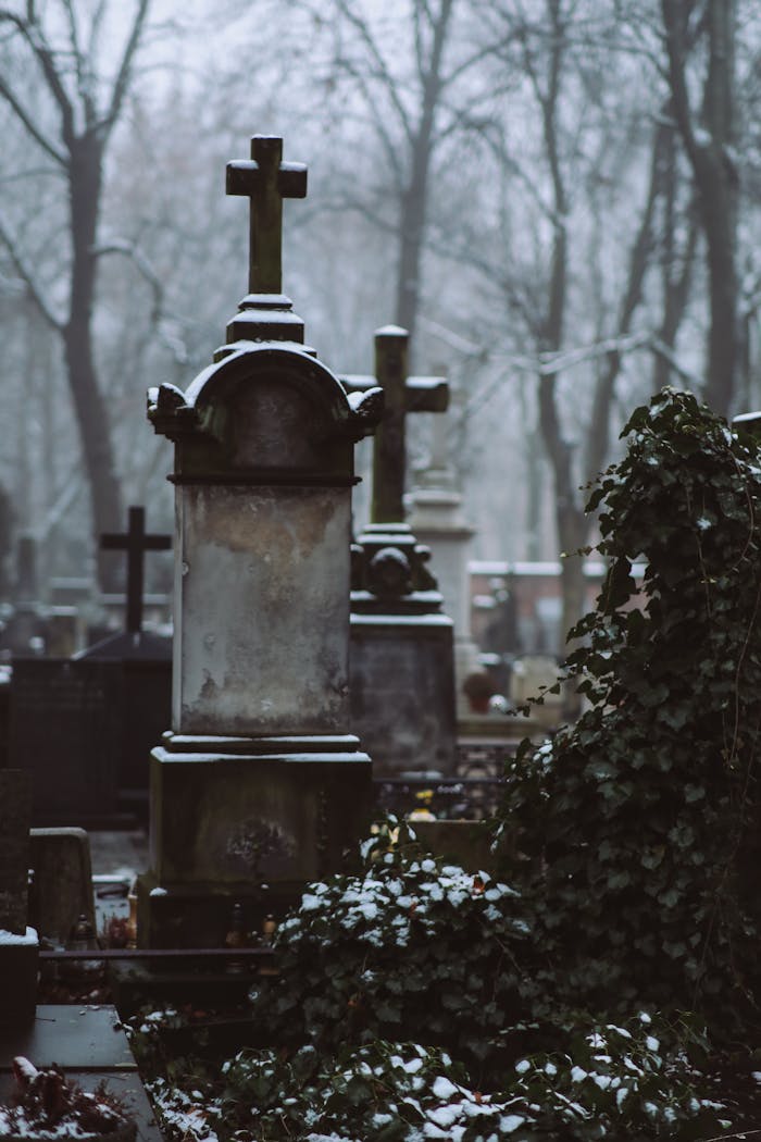 Eerie winter cemetery scene with snow-covered tombstones and misty trees.
