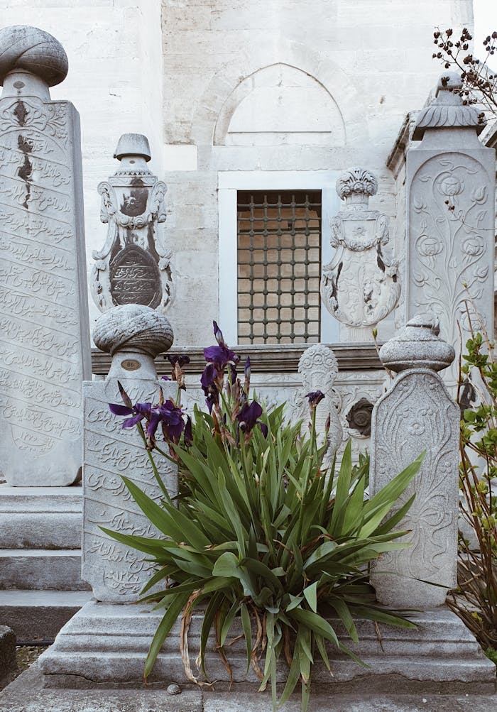 Ancient gravestones with detailed inscriptions and blossoming flowers at a historic site.